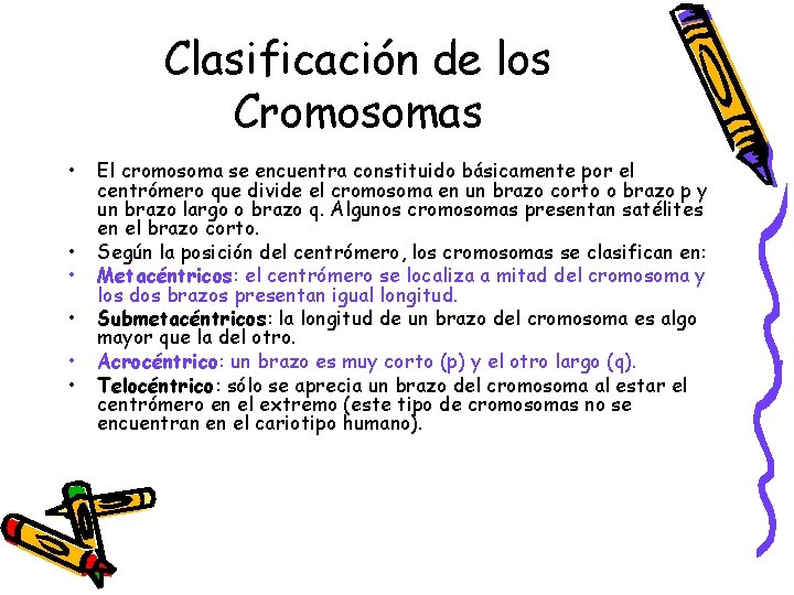Clasificación de los Cromosomas • • • El cromosoma se encuentra constituido básicamente por
