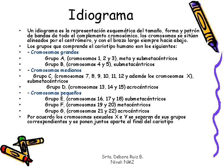 Idiograma • • • • Un idiograma es la representación esquemática del tamaño, forma