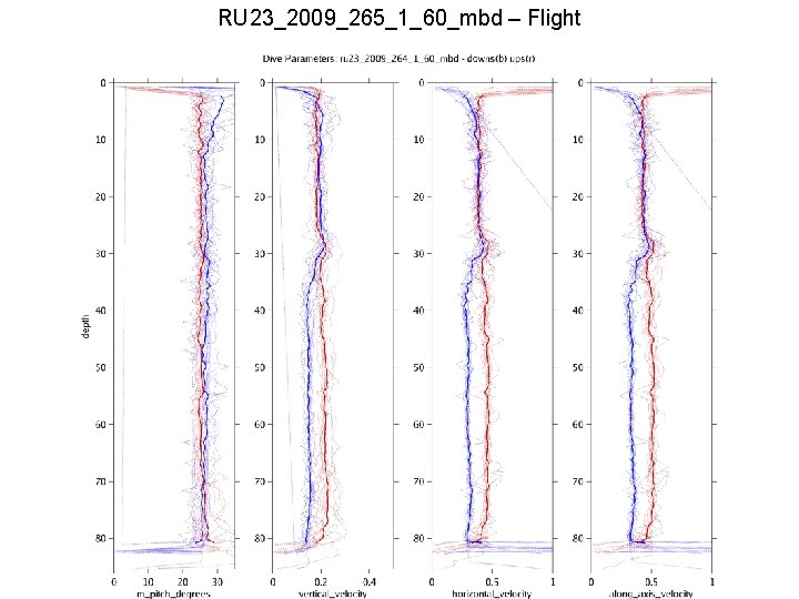 RU 23_2009_265_1_60_mbd – Flight 