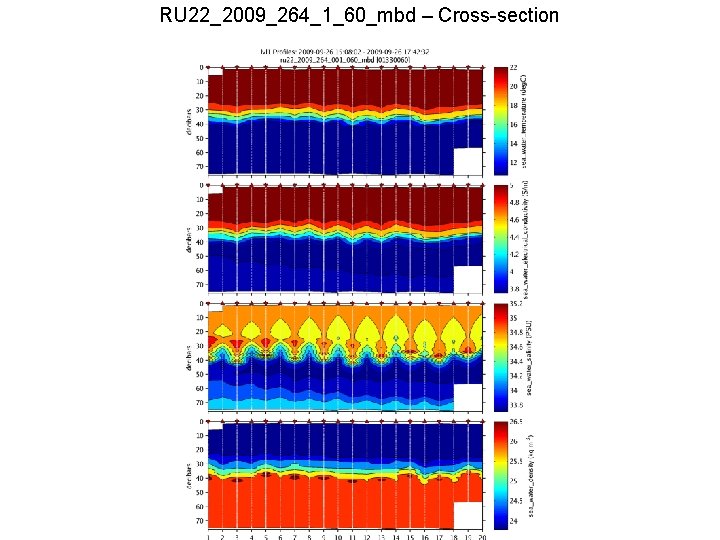 RU 22_2009_264_1_60_mbd – Cross-section 