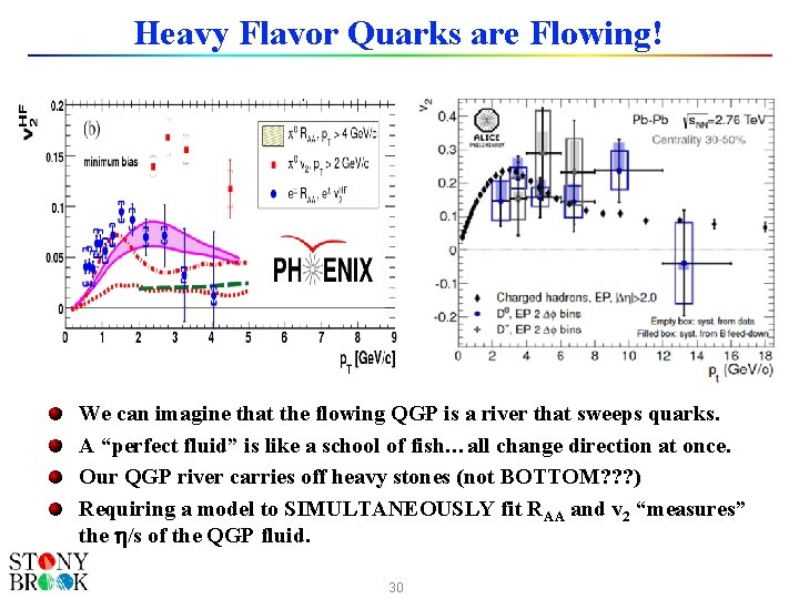Heavy Flavor Quarks are Flowing! We can imagine that the flowing QGP is a