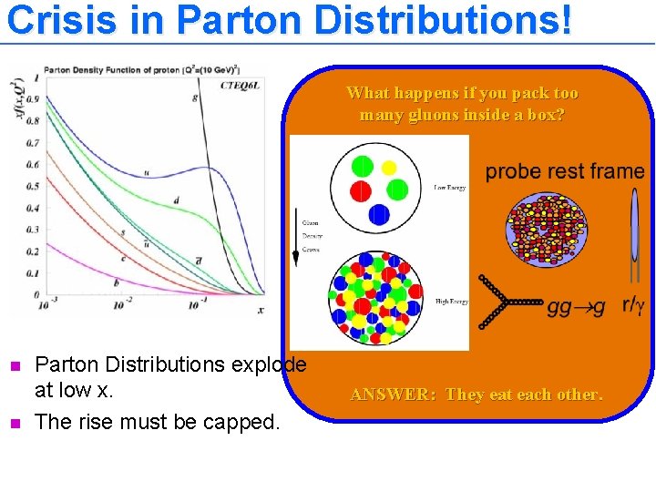 Crisis in Parton Distributions! What happens if you pack too many gluons inside a