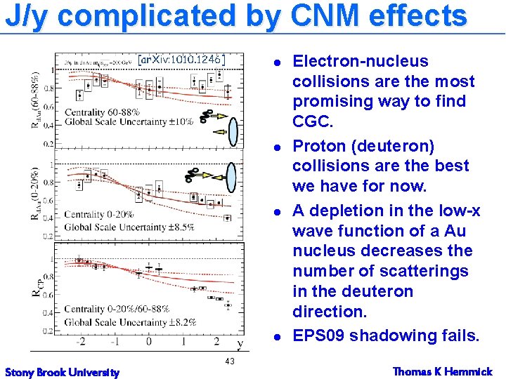 J/y complicated by CNM effects l l Stony Brook University 43 Electron-nucleus collisions are