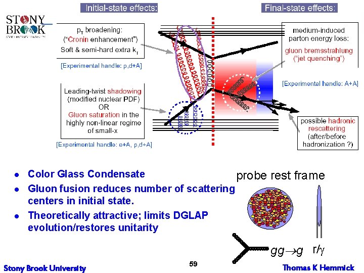 l l l Color Glass Condensate probe Gluon fusion reduces number of scattering centers