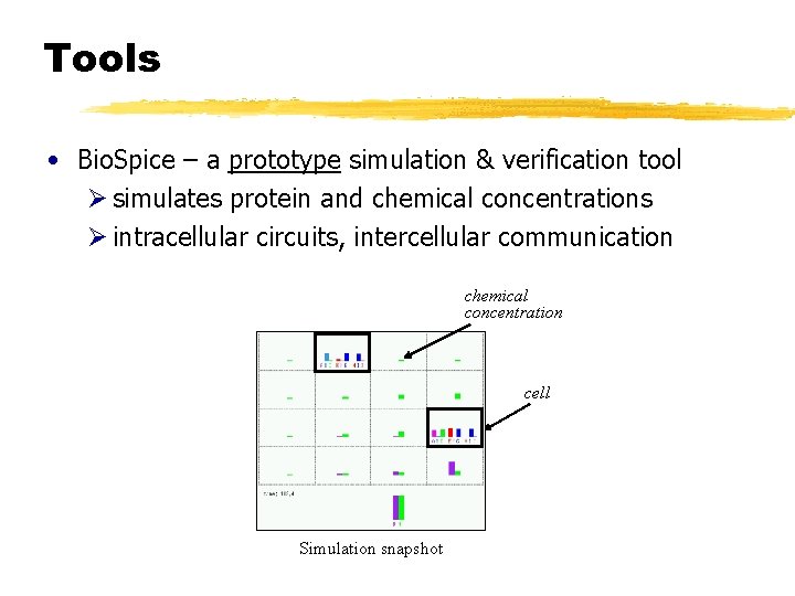 Tools • Bio. Spice – a prototype simulation & verification tool Ø simulates protein