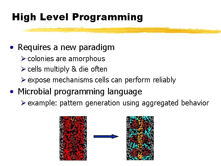 High Level Programming • Requires a new paradigm Ø colonies are amorphous Ø cells