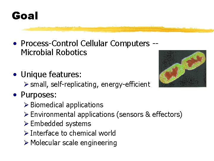 Goal • Process-Control Cellular Computers -Microbial Robotics • Unique features: Ø small, self-replicating, energy-efficient