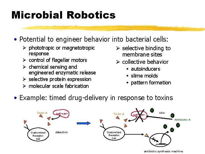 Microbial Robotics • Potential to engineer behavior into bacterial cells: Ø phototropic or magnetotropic