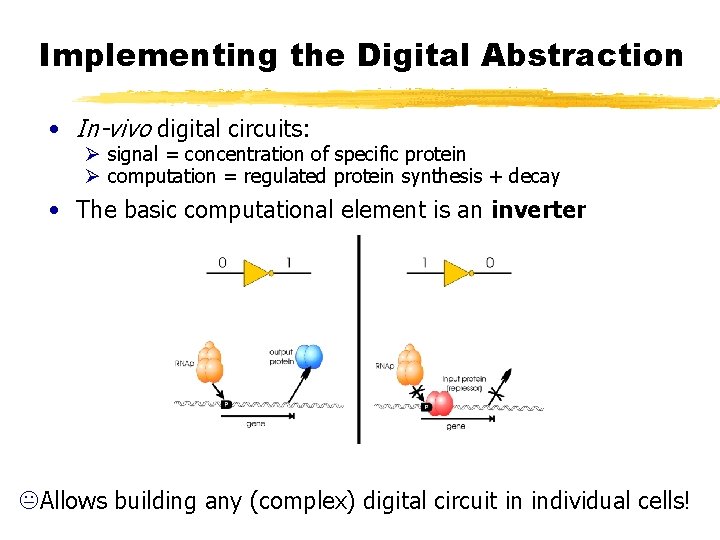 Implementing the Digital Abstraction • In-vivo digital circuits: Ø signal = concentration of specific