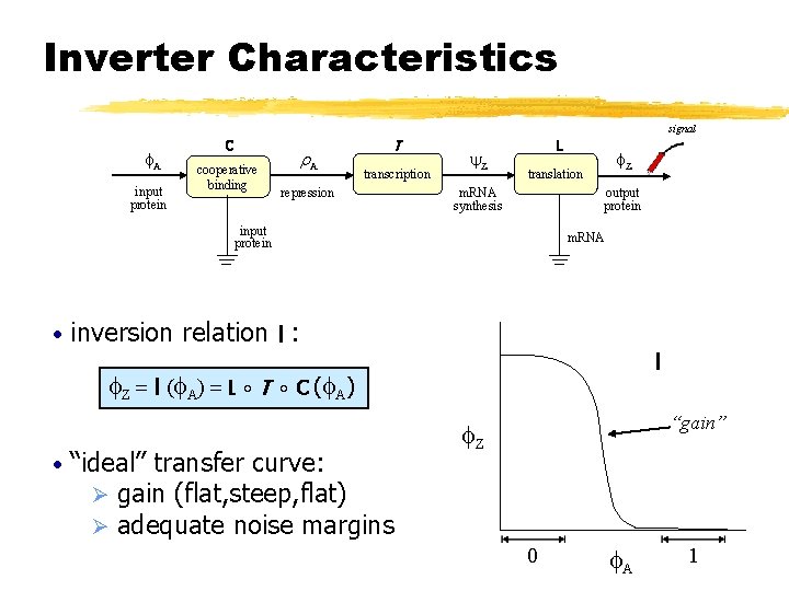 Inverter Characteristics signal f. A input protein C cooperative binding r. A T transcription