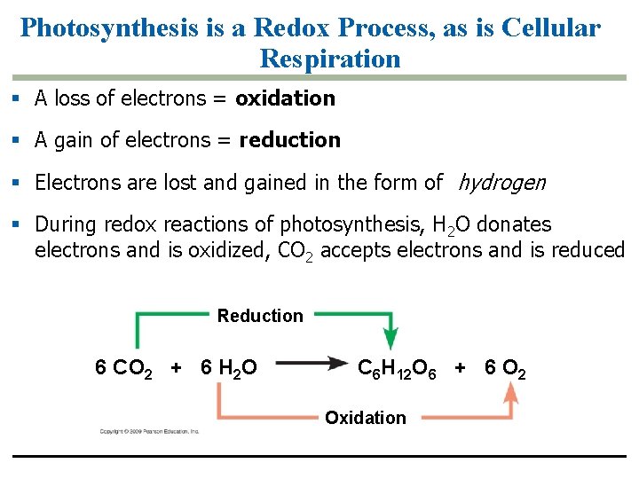 Photosynthesis is a Redox Process, as is Cellular Respiration § A loss of electrons Photosynthesis is a Redox Process, as is Cellular Respiration § A loss of electrons