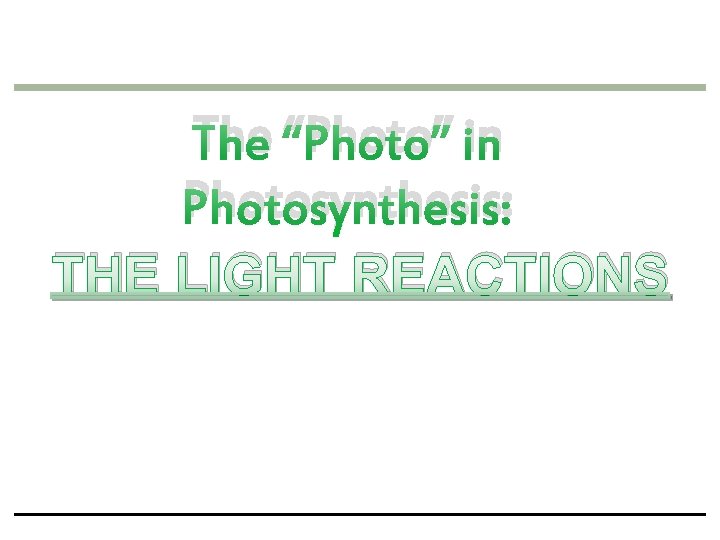 The “Photo” in Photosynthesis: THE LIGHT REACTIONS 