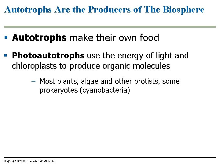 Autotrophs Are the Producers of The Biosphere § Autotrophs make their own food § Autotrophs Are the Producers of The Biosphere § Autotrophs make their own food §