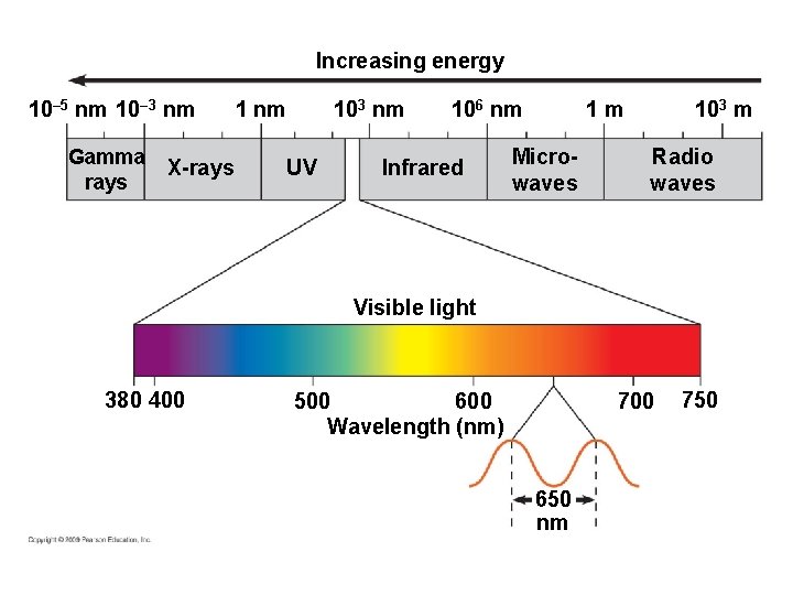 Increasing energy 10– 5 nm 10– 3 nm Gamma rays X-rays 1 nm 103 Increasing energy 10– 5 nm 10– 3 nm Gamma rays X-rays 1 nm 103
