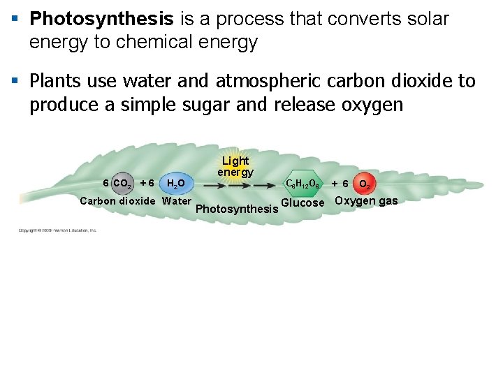 § Photosynthesis is a process that converts solar energy to chemical energy § Plants § Photosynthesis is a process that converts solar energy to chemical energy § Plants