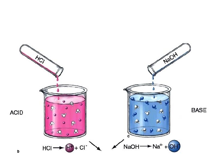 Acids and Bases An acid produces H+ A base absorbs H+ 