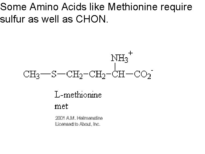 Some Amino Acids like Methionine require sulfur as well as CHON. 