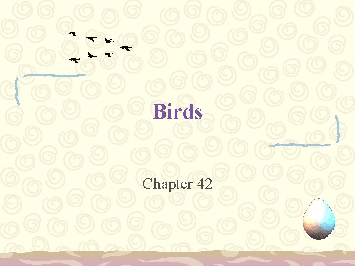 Birds Chapter 42 