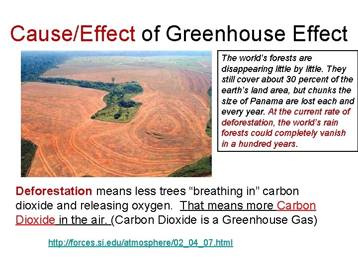 Cause/Effect of Greenhouse Effect The world’s forests are disappearing little by little. They still