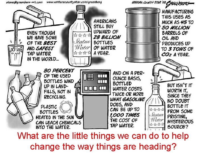 What are the little things we can do to help change the way things