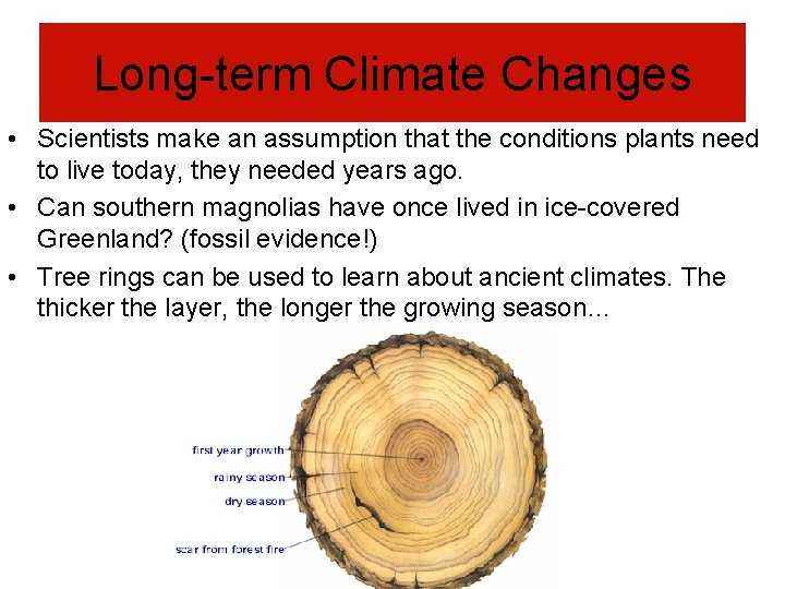Long-term Climate Changes • Scientists make an assumption that the conditions plants need to