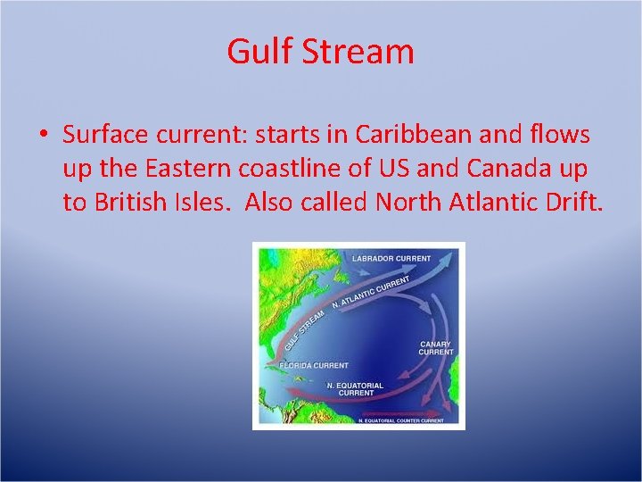 Gulf Stream • Surface current: starts in Caribbean and flows up the Eastern coastline