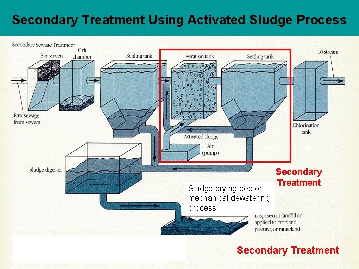 Secondary Treatment Using Activated Sludge Process Sludge drying bed or mechanical dewatering process Secondary