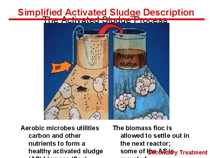 Simplified Activated Sludge Description The Activated Sludge Process Aerobic microbes utilities carbon and other