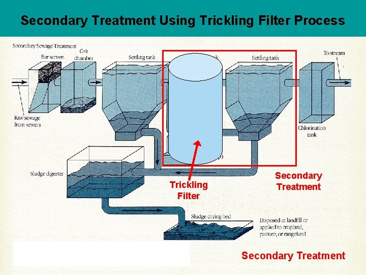 Secondary Treatment Using Trickling Filter Process Trickling Filter Secondary Treatment 