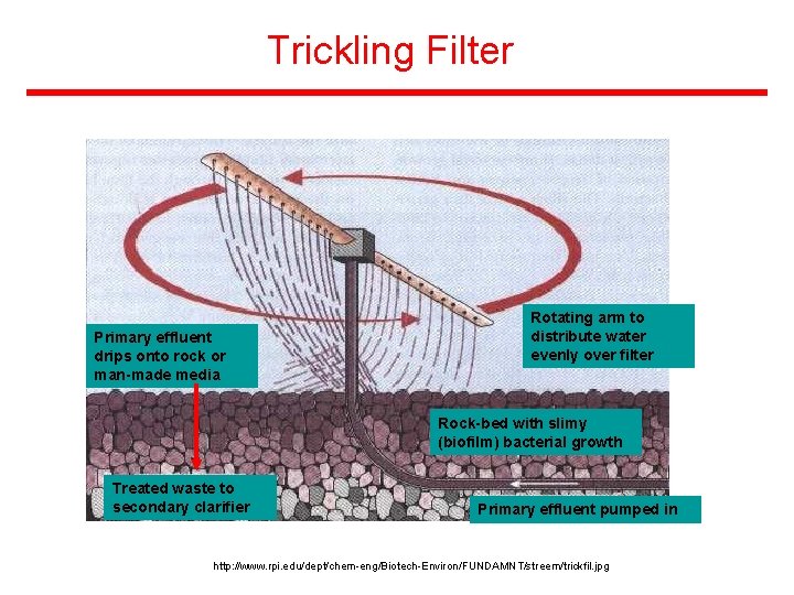 Trickling Filter Primary effluent drips onto rock or man-made media Rotating arm to distribute