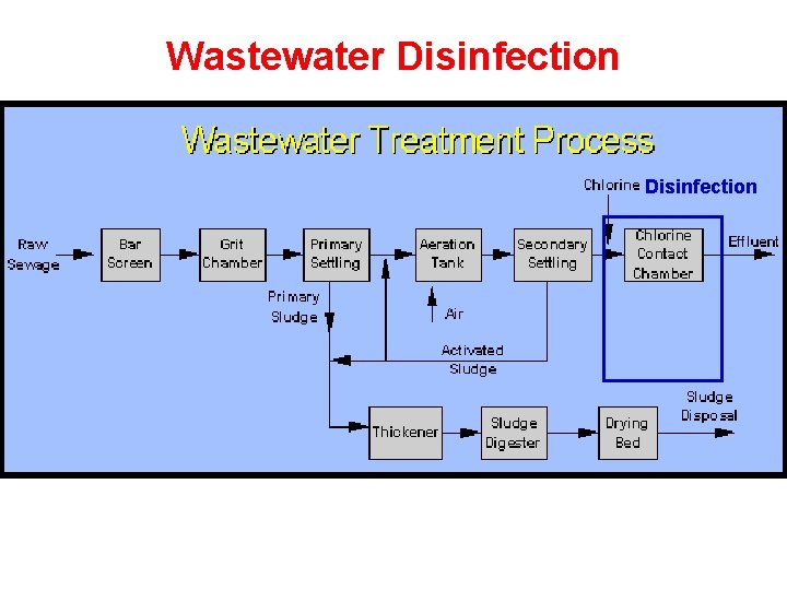 Wastewater Disinfection 