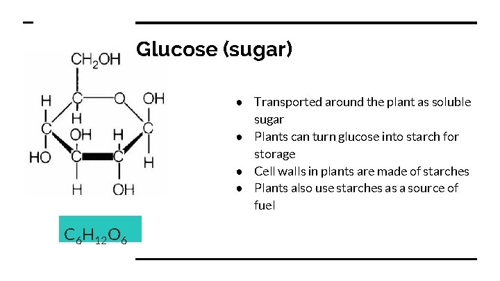 Glucose (sugar) ● Transported around the plant as soluble sugar ● Plants can turn
