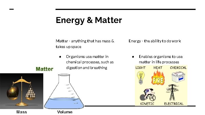 Energy & Matter - anything that has mass & takes up space ● Organisms