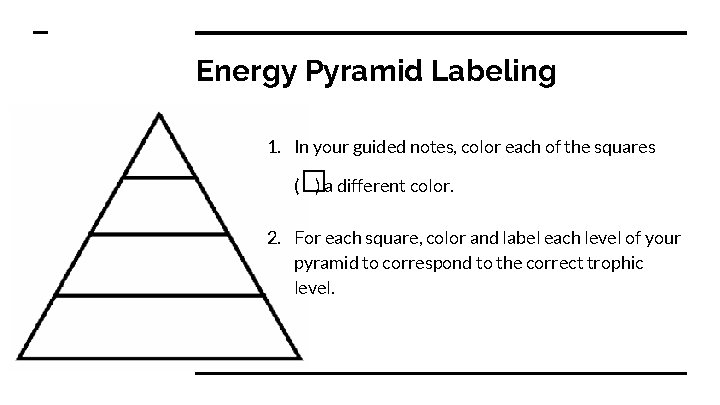 Energy Pyramid Labeling 1. In your guided notes, color each of the squares �