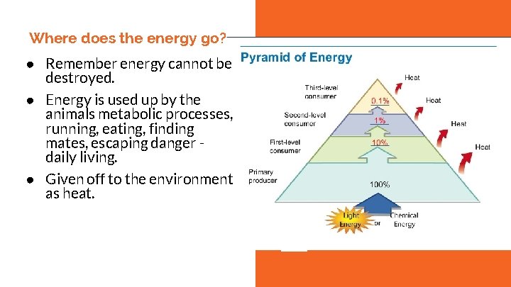 Where does the energy go? ● Remember energy cannot be destroyed. ● Energy is