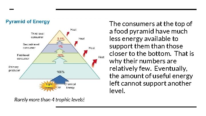 The consumers at the top of a food pyramid have much less energy available