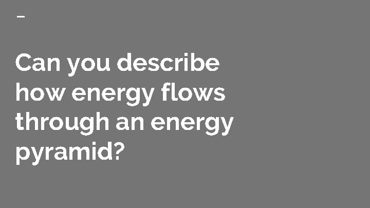 Can you describe how energy flows through an energy pyramid? 