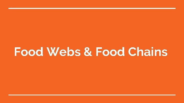 Food Webs & Food Chains 