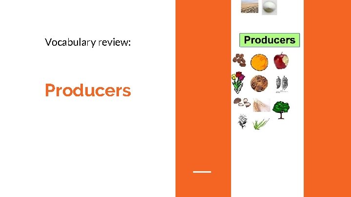 Vocabulary review: Producers 