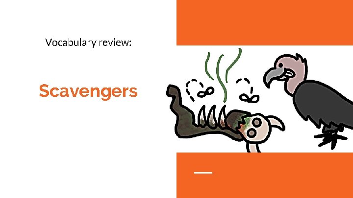 Vocabulary review: Scavengers 