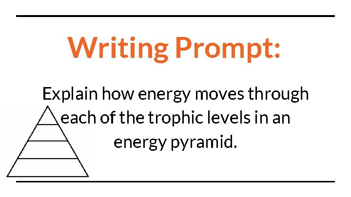 Writing Prompt: Explain how energy moves through each of the trophic levels in an