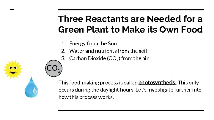 Three Reactants are Needed for a Green Plant to Make its Own Food 1.
