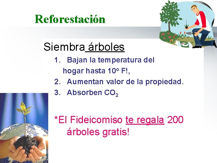 Reforestación Siembra árboles 1. Bajan la temperatura del hogar hasta 10 o F!, 2.