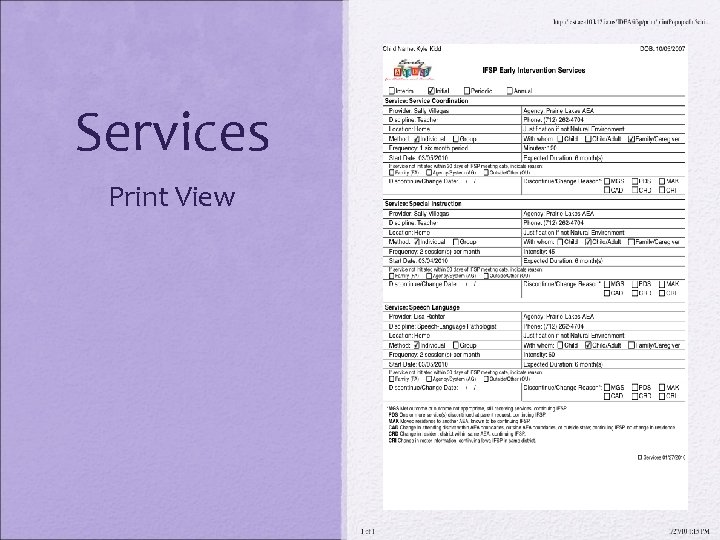 Services Print View 