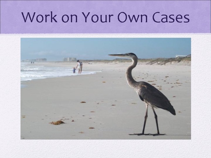 Work on Your Own Cases 