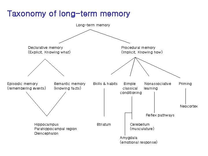 Taxonomy of long-term memory Long-term memory Declarative memory (Explicit, Knowing what) Episodic memory (remembering