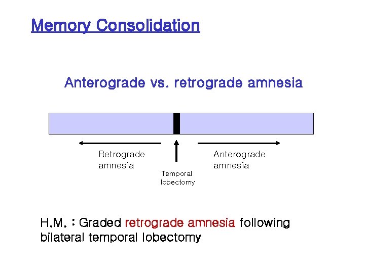 Memory Consolidation Anterograde vs. retrograde amnesia Retrograde amnesia Anterograde amnesia Temporal lobectomy H. M.