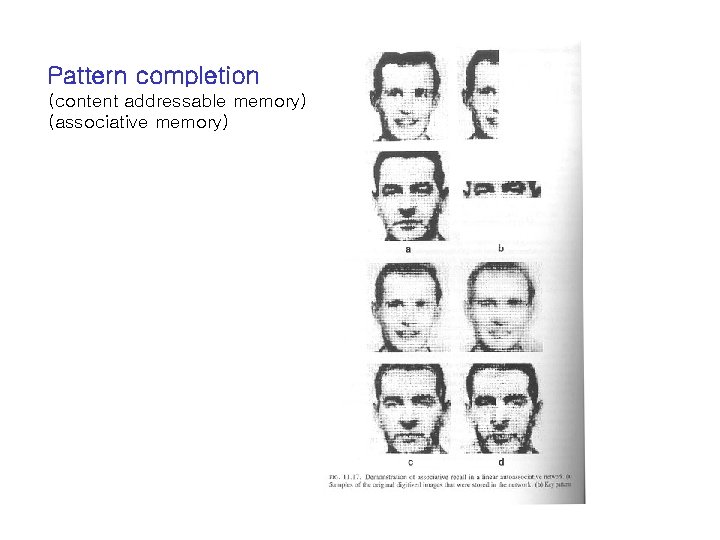 Pattern completion (content addressable memory) (associative memory) 