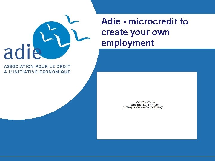 Adie - microcredit to create your own employment 