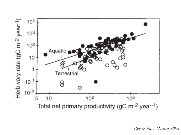 Cyr & Pace Nature 1993 